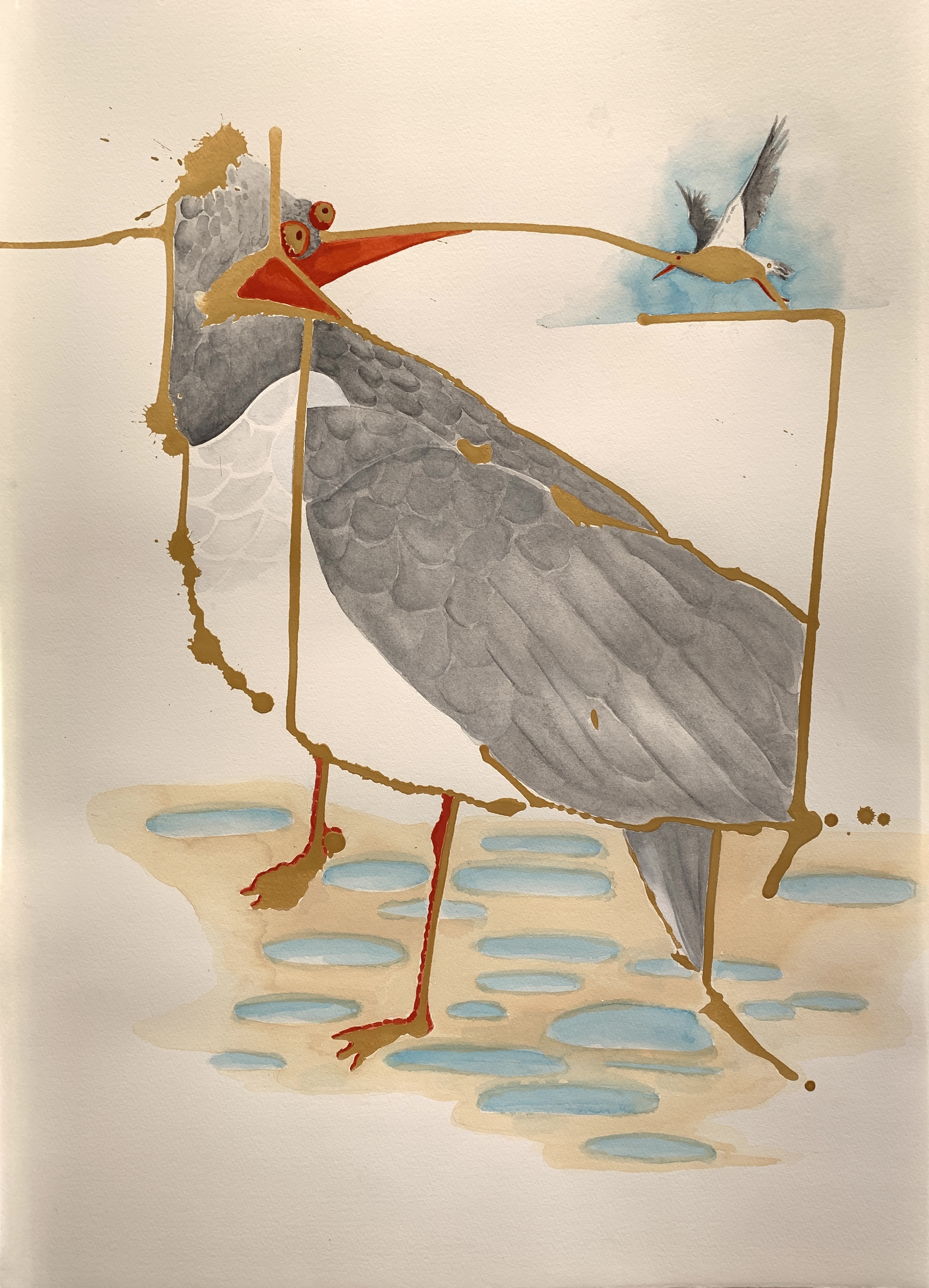 Conspiracy Sea Bird