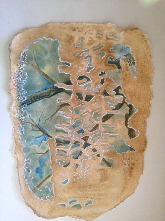 Puddle 6