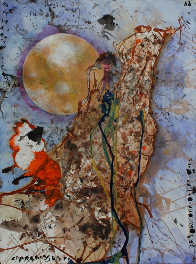 The Fox with the Subtle Nose — foxes drawn from ink washes